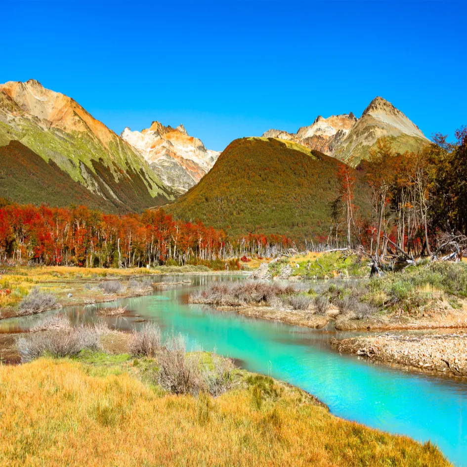 Río de agua turquesa entre pastizales y bosques otoñales